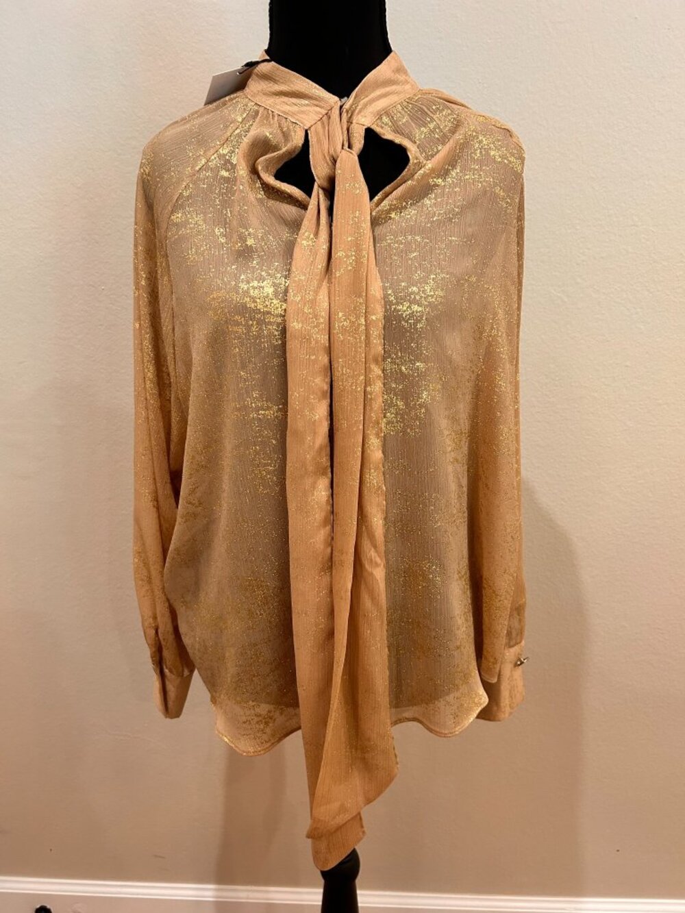 Zara Women’s Metallic Gold Sheer Tie-Neck Blouse Size M NWT